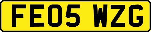 FE05WZG