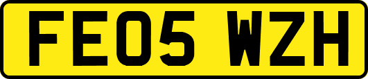 FE05WZH