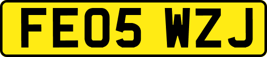 FE05WZJ