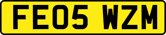 FE05WZM