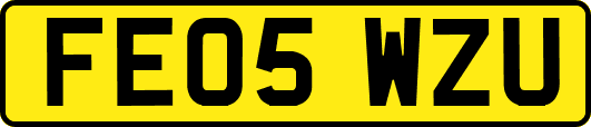 FE05WZU