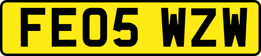 FE05WZW
