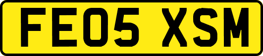 FE05XSM