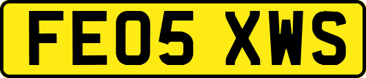 FE05XWS