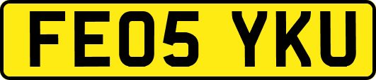 FE05YKU