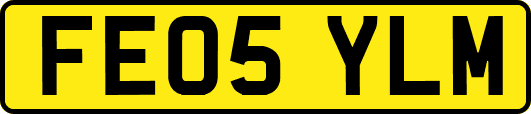 FE05YLM