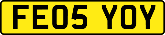 FE05YOY