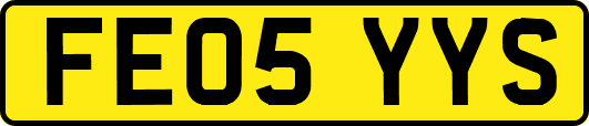 FE05YYS