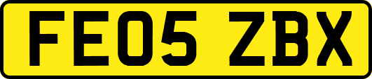 FE05ZBX