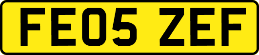 FE05ZEF
