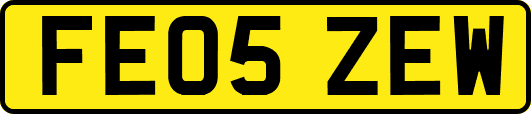 FE05ZEW