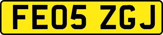 FE05ZGJ