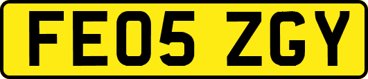 FE05ZGY