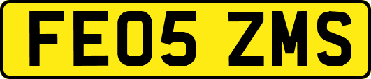 FE05ZMS