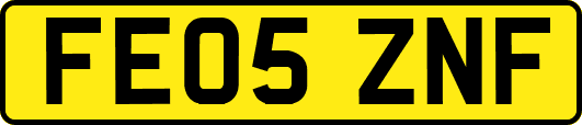 FE05ZNF