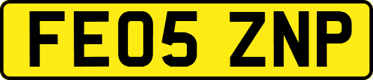 FE05ZNP