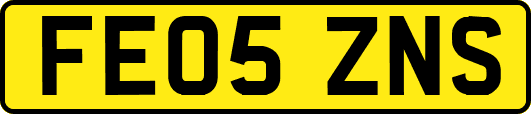 FE05ZNS