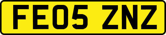 FE05ZNZ