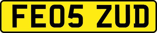 FE05ZUD