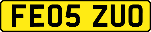 FE05ZUO