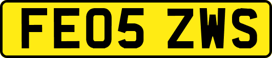 FE05ZWS
