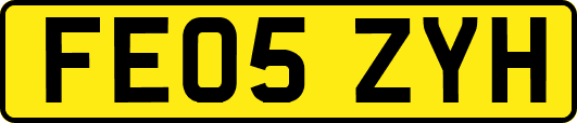 FE05ZYH
