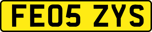 FE05ZYS