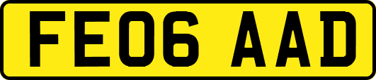 FE06AAD