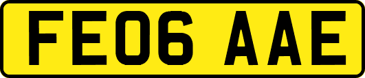 FE06AAE