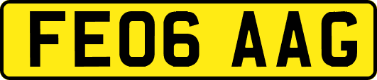 FE06AAG