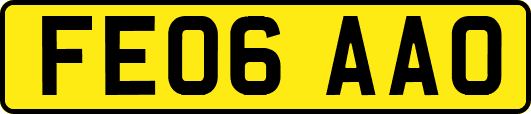FE06AAO