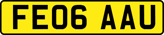 FE06AAU