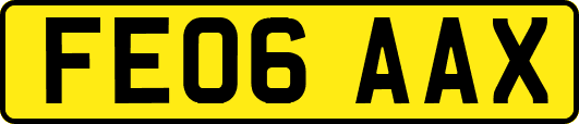 FE06AAX