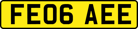 FE06AEE
