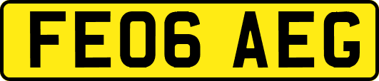 FE06AEG