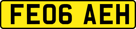 FE06AEH