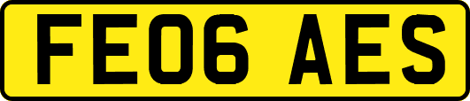 FE06AES