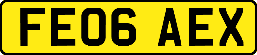 FE06AEX