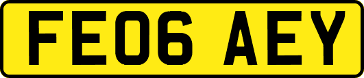 FE06AEY