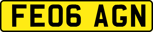 FE06AGN