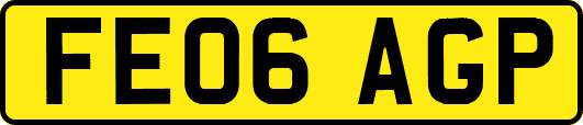 FE06AGP