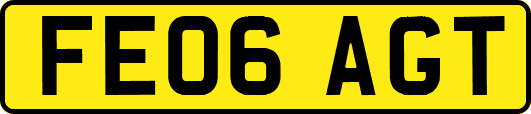 FE06AGT