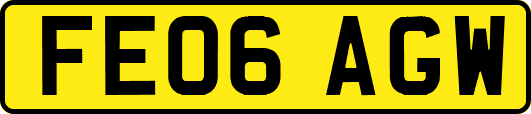 FE06AGW