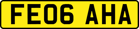 FE06AHA