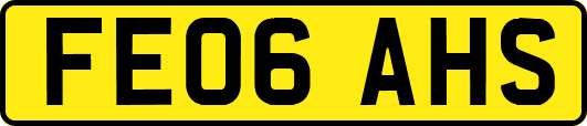 FE06AHS