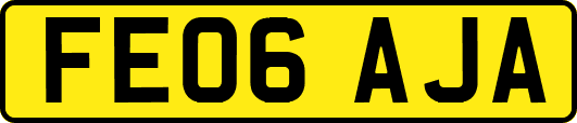 FE06AJA