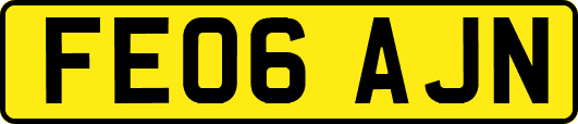 FE06AJN