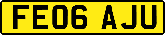 FE06AJU