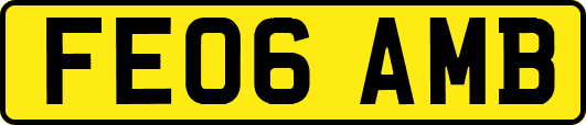 FE06AMB