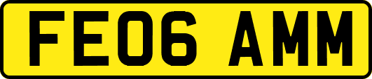 FE06AMM